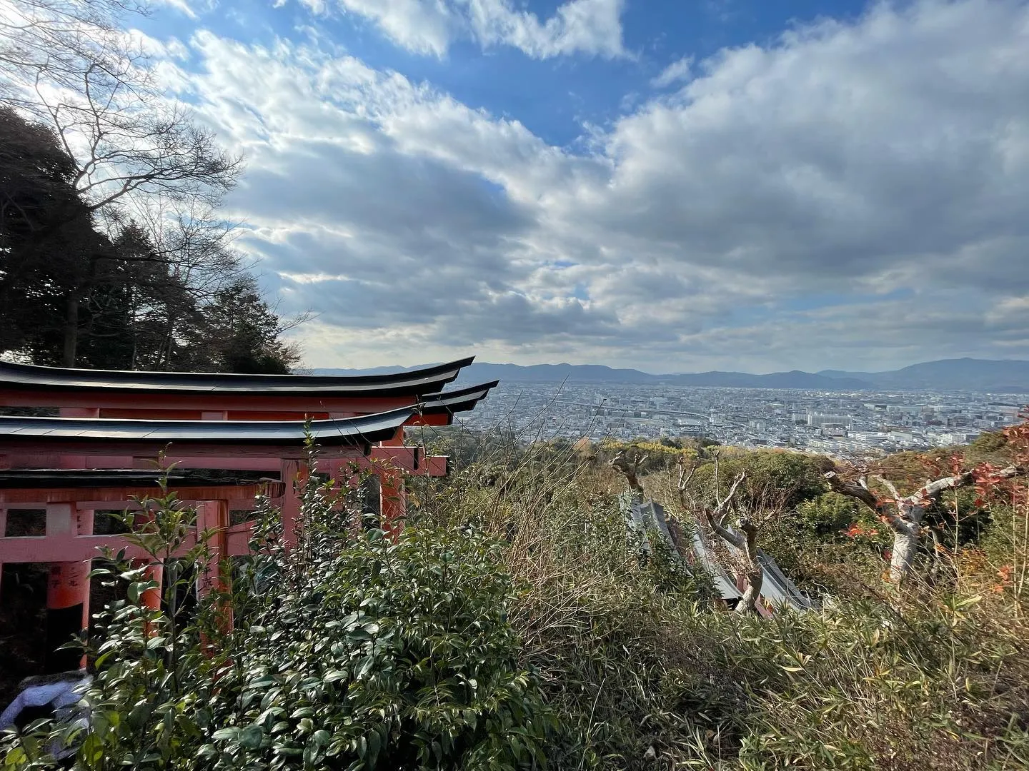 2025年明けましておめでとうございます。