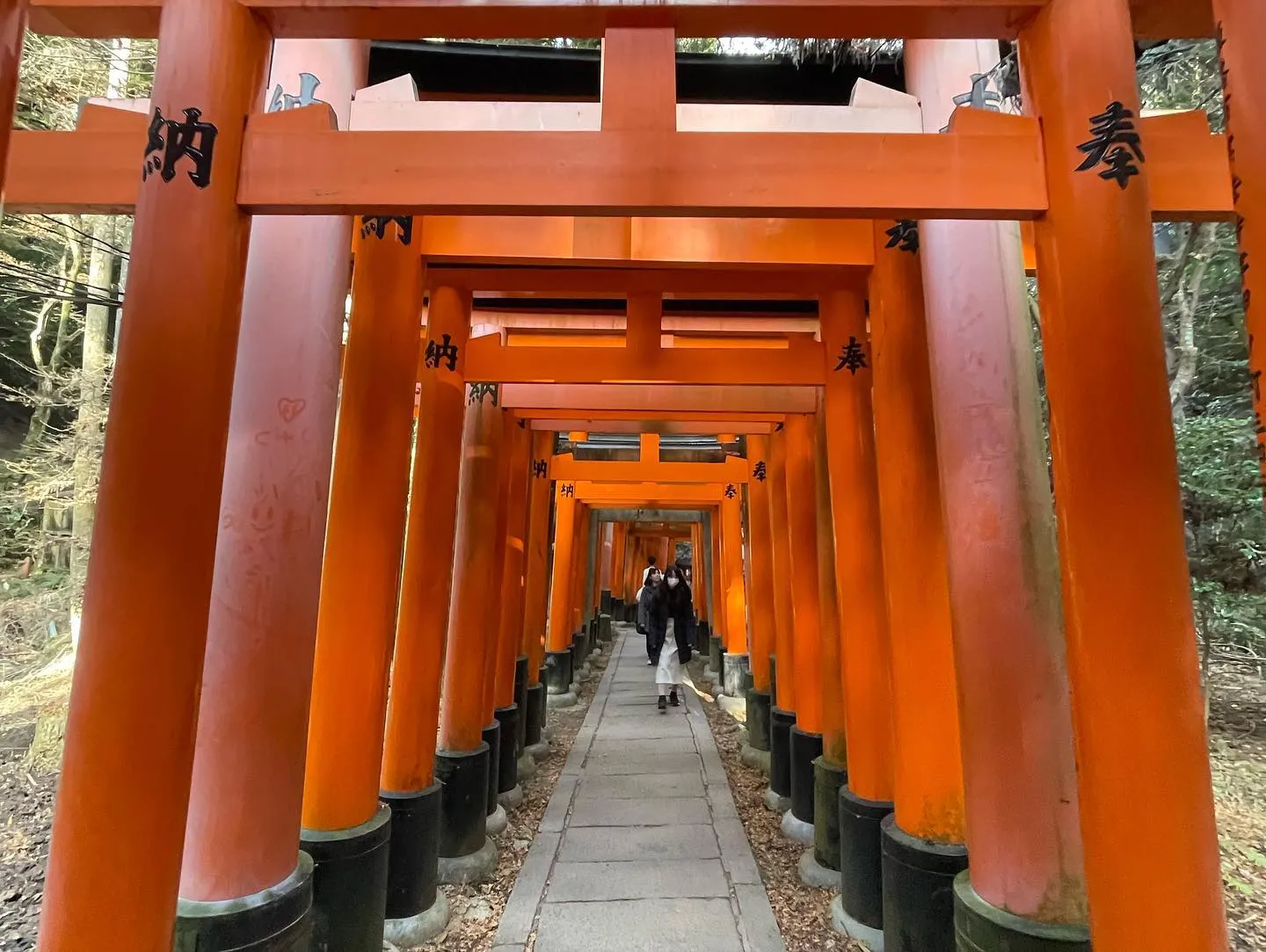 2025年明けましておめでとうございます。