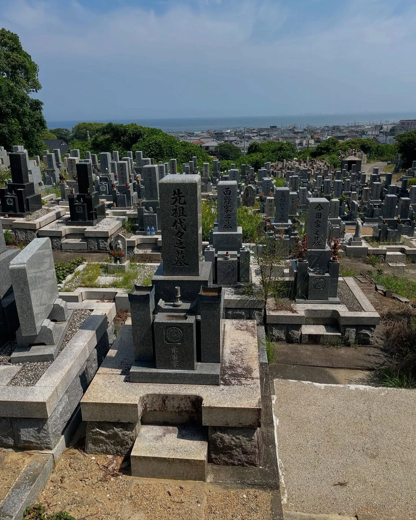 箱作の墓地で撤去作業を賜りました。