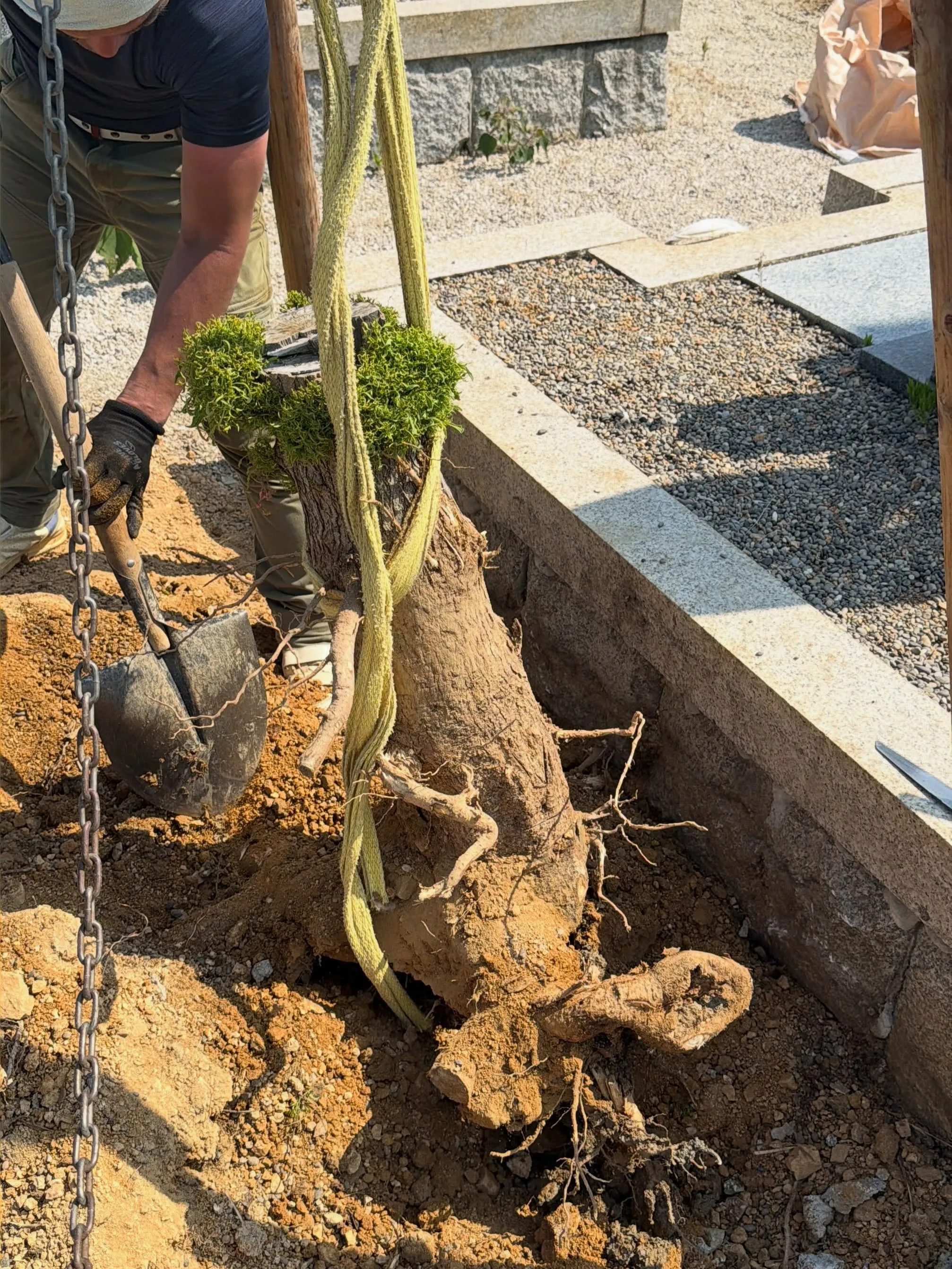お墓の撤去（お墓じまい）のご依頼を賜り、植木の処分も‥とお受...